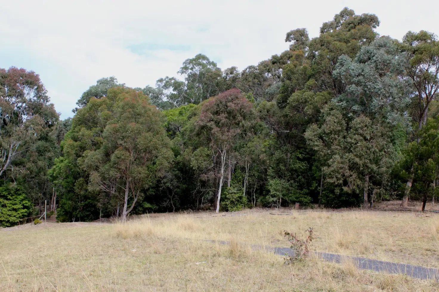 Main view of Homely land listing, 187 Black Range Road, Bega NSW 2550