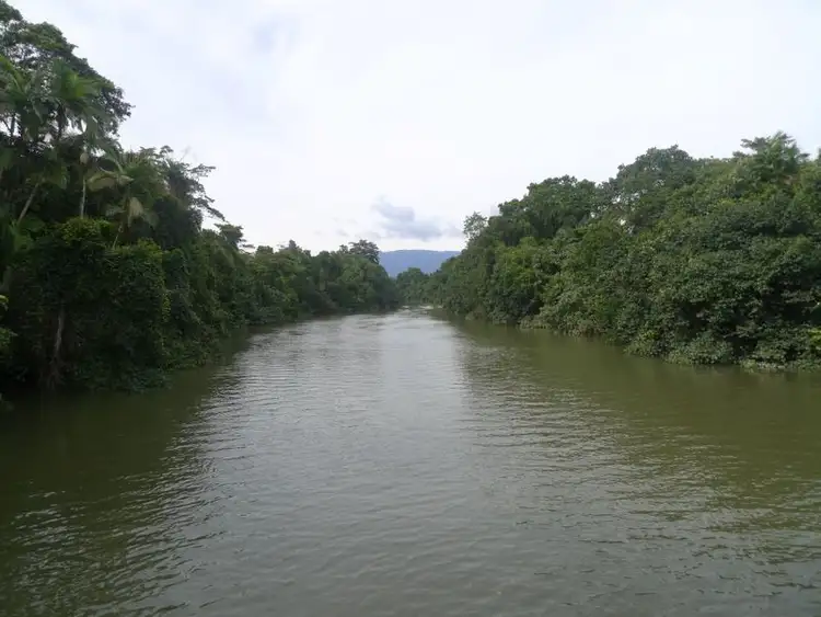 Third view of Homely land listing, Lot/2 Stewart Creek Road, Daintree QLD 4873