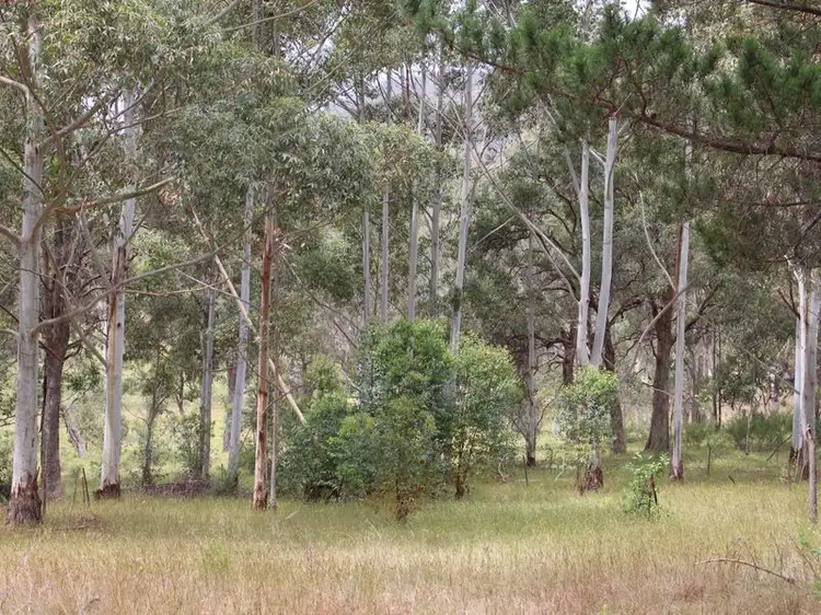 Main view of Homely land listing, 1933 Princes Highway, Wolumla NSW 2550