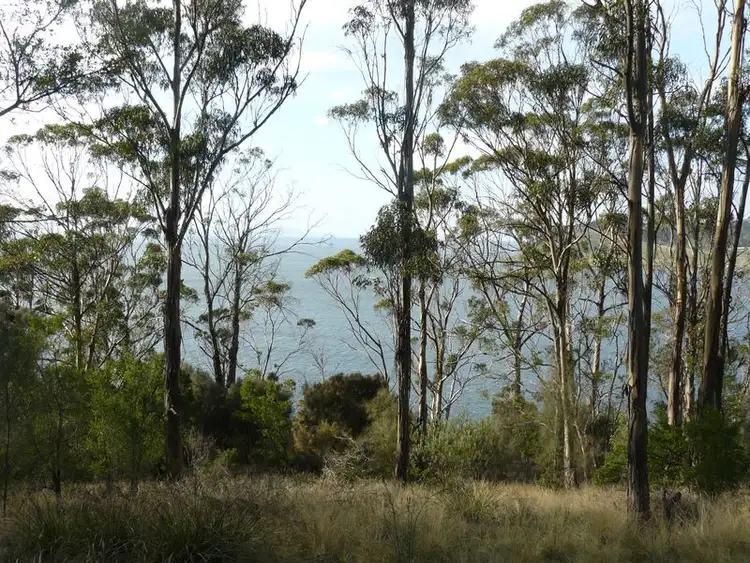 Second view of Homely land listing, 320 Tinderbox Road, Tinderbox TAS 7054