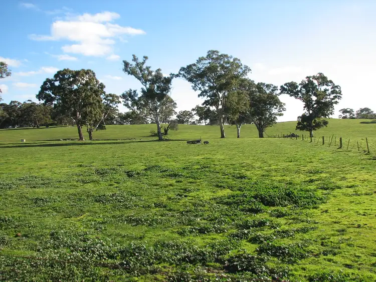 Sixth view of Homely rural property listing, Lot 6409 Sheoak Hill Road, Mount Torrens SA 5244