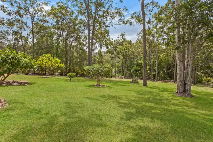 Seventh view of Homely house listing, 47 Billabirra Crescent, Nerang QLD 4211