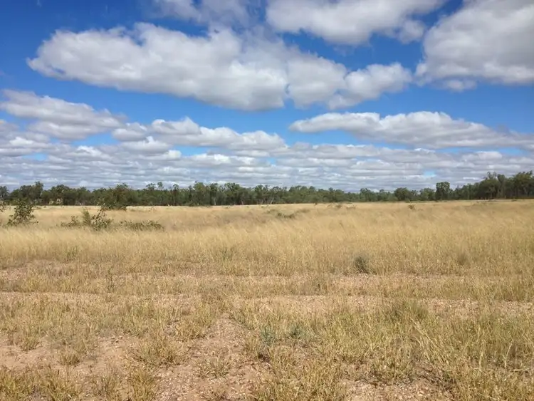 Fifth view of Homely rural property listing, 1141 Yuleba Surat Road, Yuleba QLD 4427