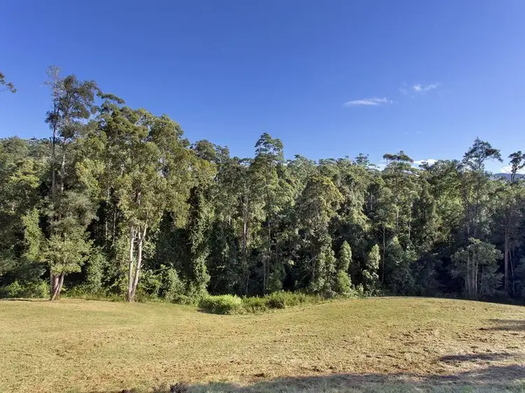 Fifth view of Homely house listing, 132 Mahers Road, Bellingen NSW 2454