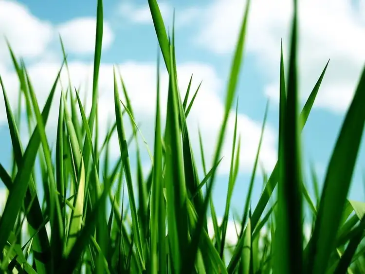 Lot 1977 ( Sanctuary Lakes South Boulevard, Sanctuary Lakes VIC 3030