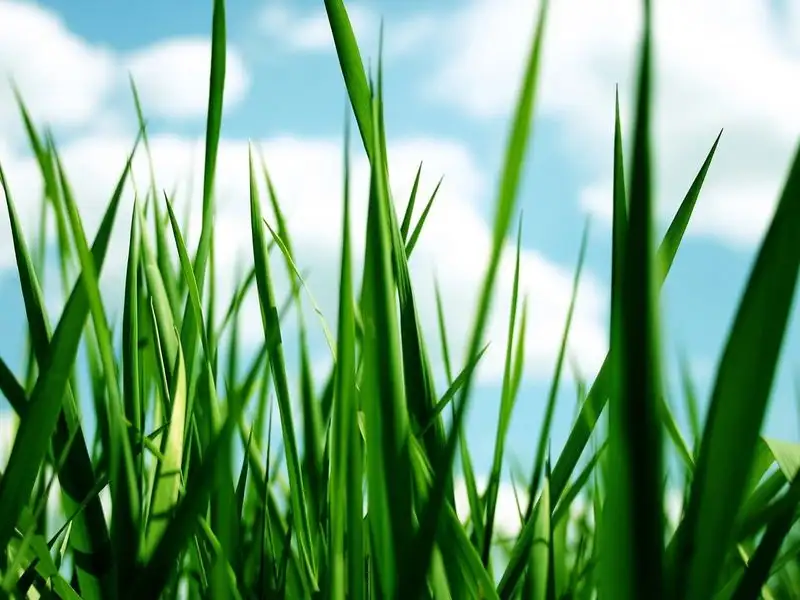 Main view of Homely land listing, Lot 1977 ( Sanctuary Lakes South Boulevard, Sanctuary Lakes VIC 3030