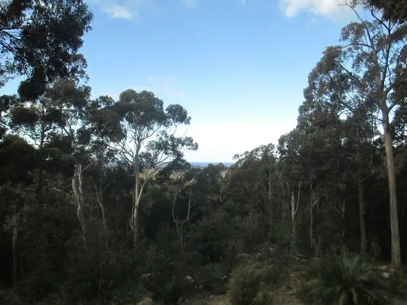 Main view of Homely rural property listing, 300 Pollwombra Road, Moruya NSW 2537