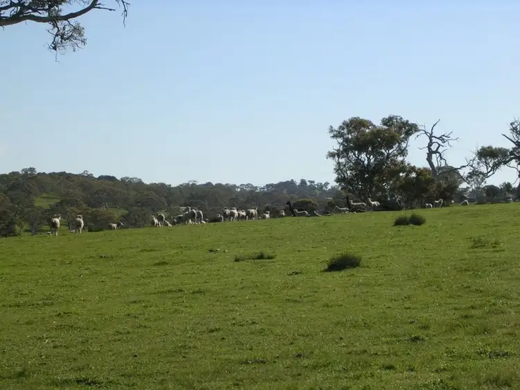 Second view of Homely land listing, Lot 4 Wiles Fire Track, Wistow SA 5251