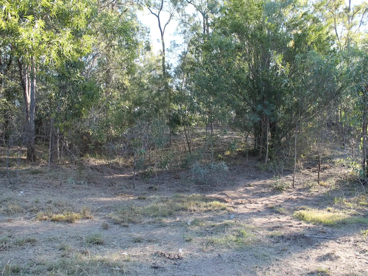 Main view of Homely land listing, 41 Sandpiper Drive, Regency Downs QLD 4341