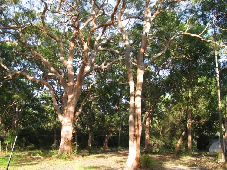Sixth view of Homely house listing, 186 Beach Road, Mitchells Island NSW 2430
