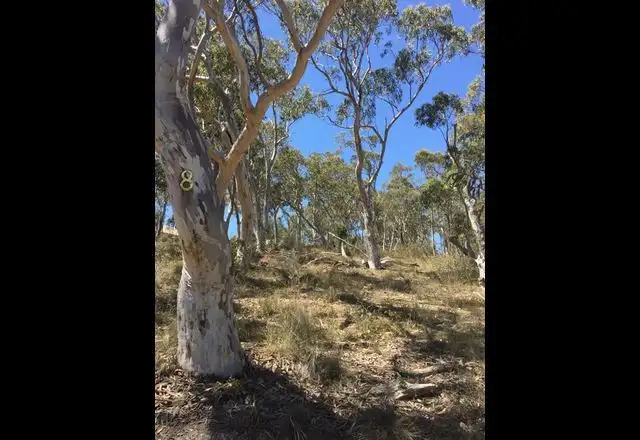 Main view of Homely land listing, 8 Railway Parade, Tallong NSW 2579