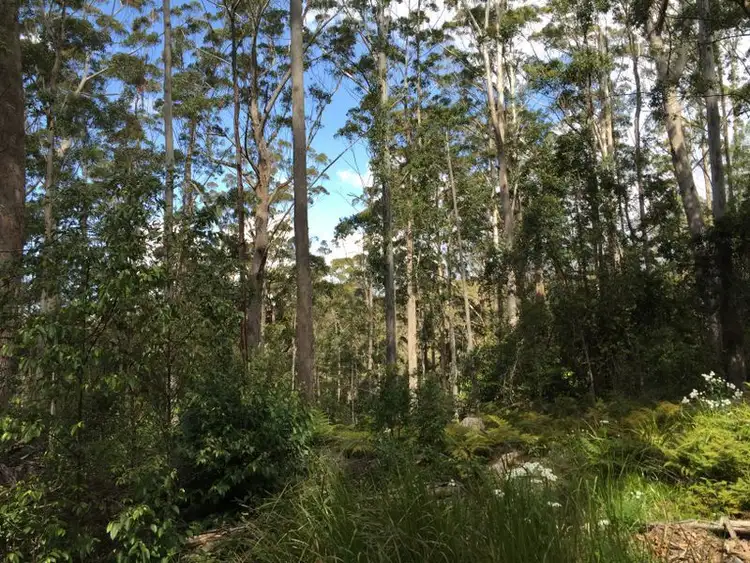 Fourth view of Homely rural property listing, Address available on request