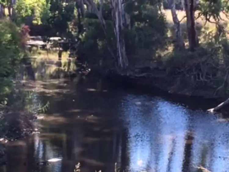 Second view of Homely rural property listing, 1467 Wickham Road, Thanes Creek QLD 4370