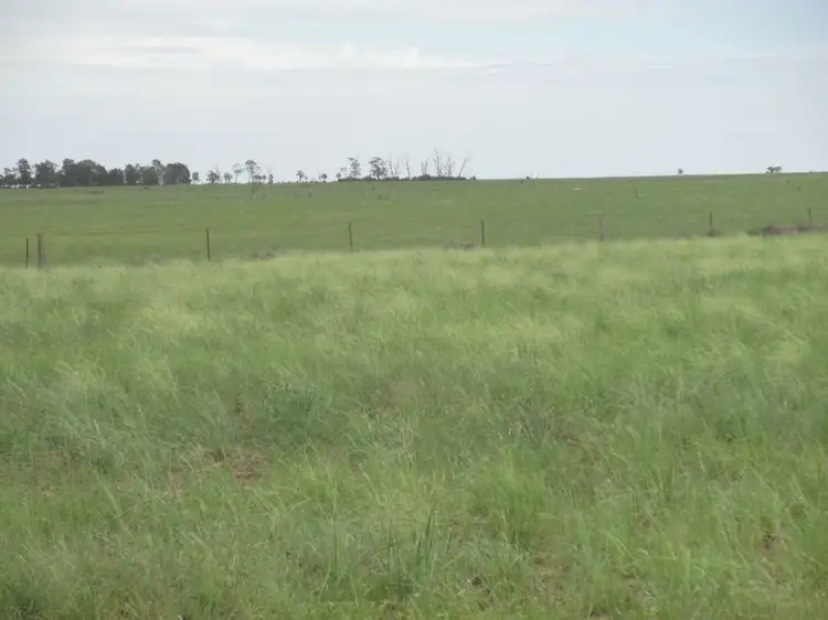 Main view of Homely rural property listing, Mt Abundance Road, Roma QLD 4455