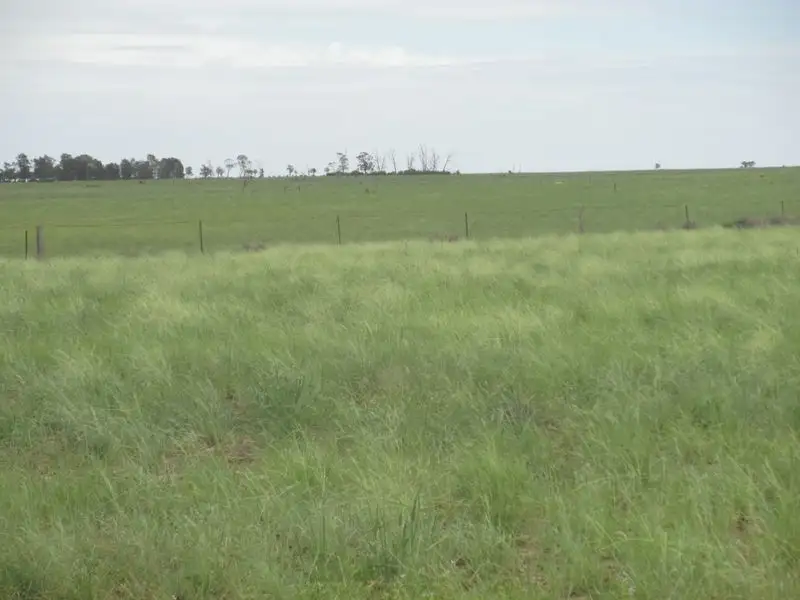 Main view of Homely rural property listing, Mt Abundance Road, Roma QLD 4455