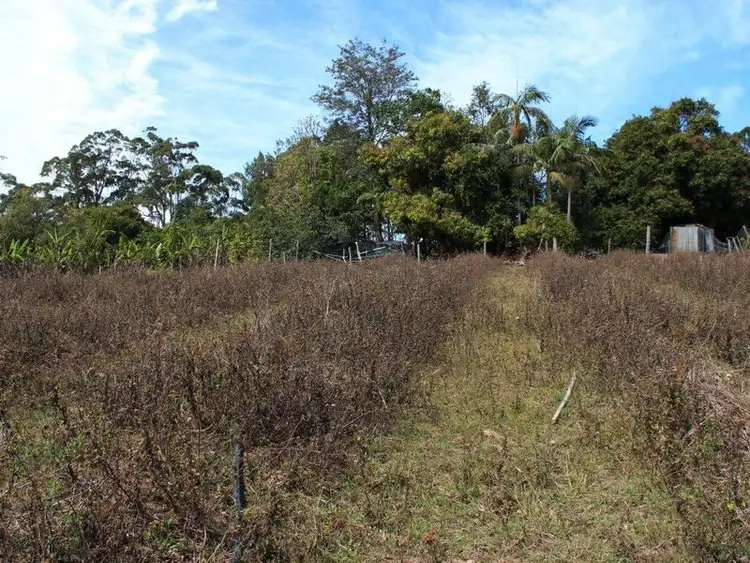 Second view of Homely rural property listing, 136 Holloways Road, Sandy Beach NSW 2456