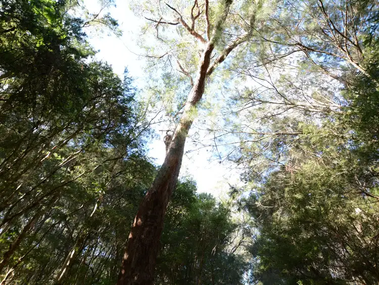 Fifth view of Homely land listing, 124 Heron Road, Old Bar NSW 2430