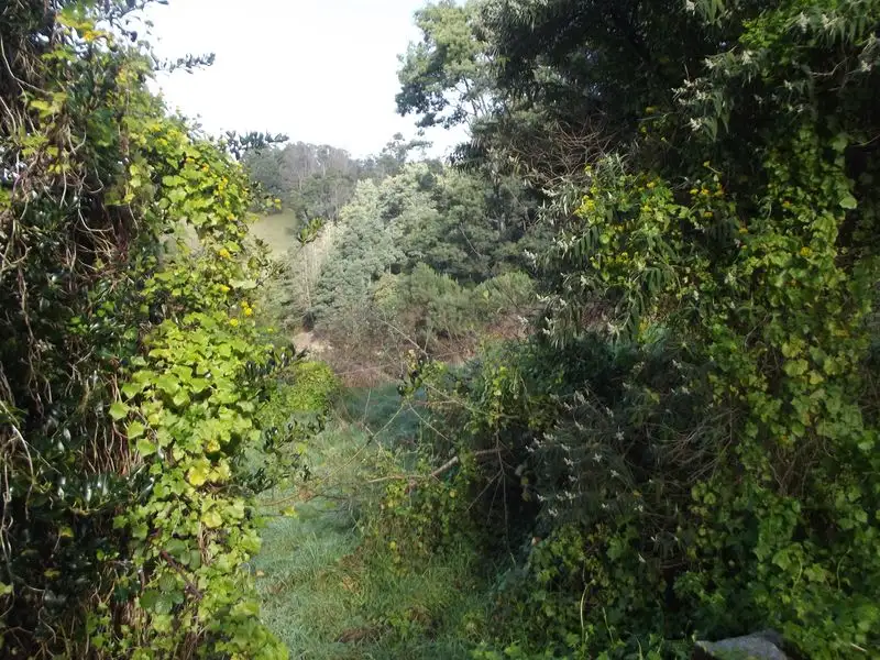 Main view of Homely land listing, PID 280234 Lottah Road, Goulds Country TAS 7216