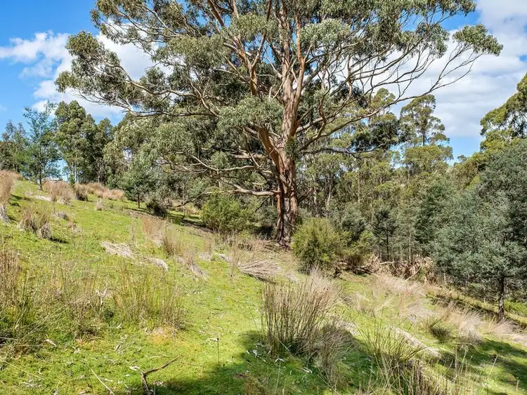 Seventh view of Homely land listing, 231 Cripps Road, Woodbridge TAS 7162
