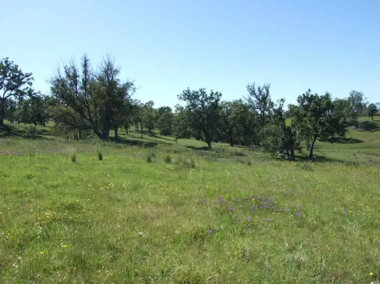 Third view of Homely land listing, Lot 403 Batemans Road, Morans Crossing NSW 2550