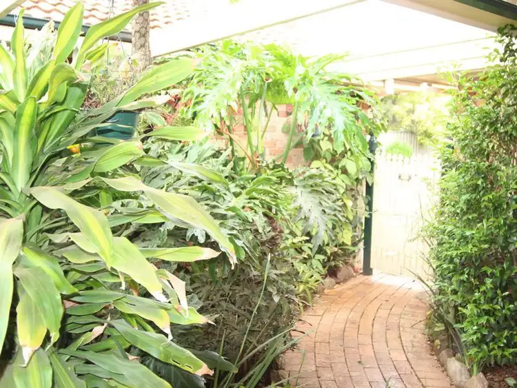 Fifth view of Homely house listing, 3 Michael Place, Ingleburn NSW 2565