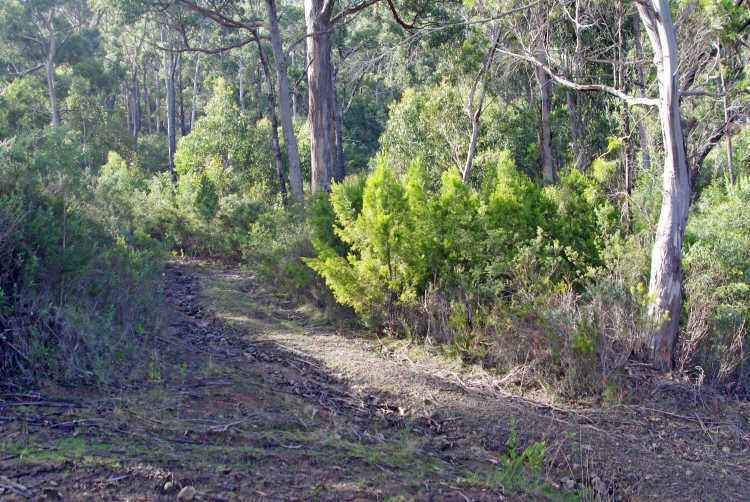 Fifth view of Homely land listing, 5278 Channel Highway, Gordon TAS 7150