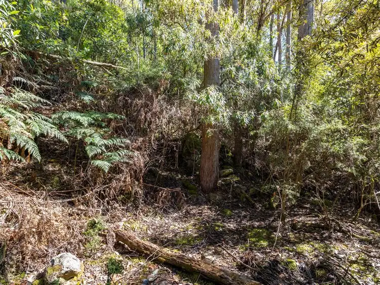 Fourth view of Homely land listing, Snug Tiers Road, Snug TAS 7054