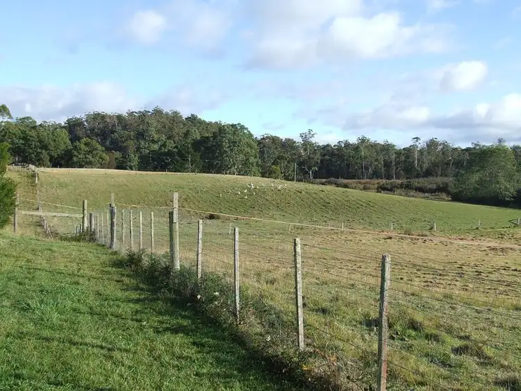 Third view of Homely house listing, 259 Medea Cove Road, St Helens TAS 7216