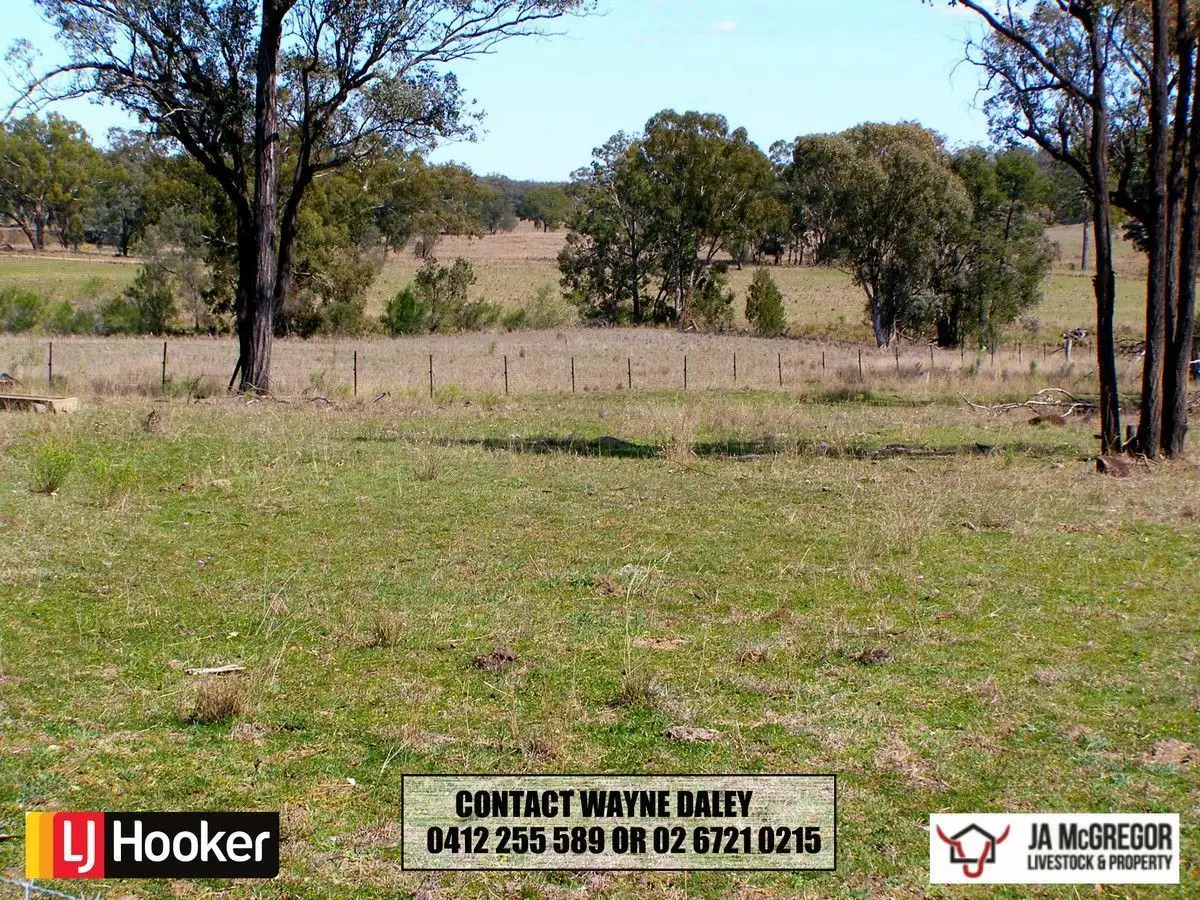 Main view of Homely rural property listing, 1590 Oregan Road, Warialda NSW 2402