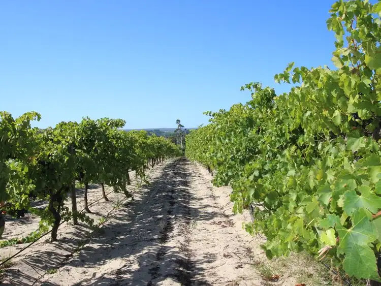 Third view of Homely house listing, 20 McLaren Flat Road, Mclaren Flat SA 5171