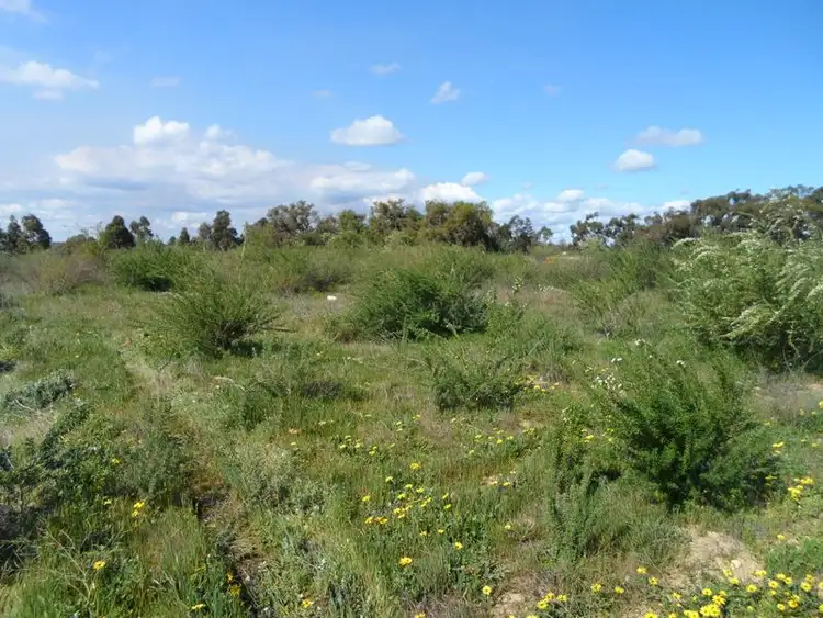 Fourth view of Homely land listing, 37 Caraway Loop, Two Rocks WA 6037