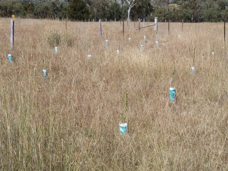 Fifth view of Homely rural property listing, 1281 Gulf Road, Emmaville NSW 2371