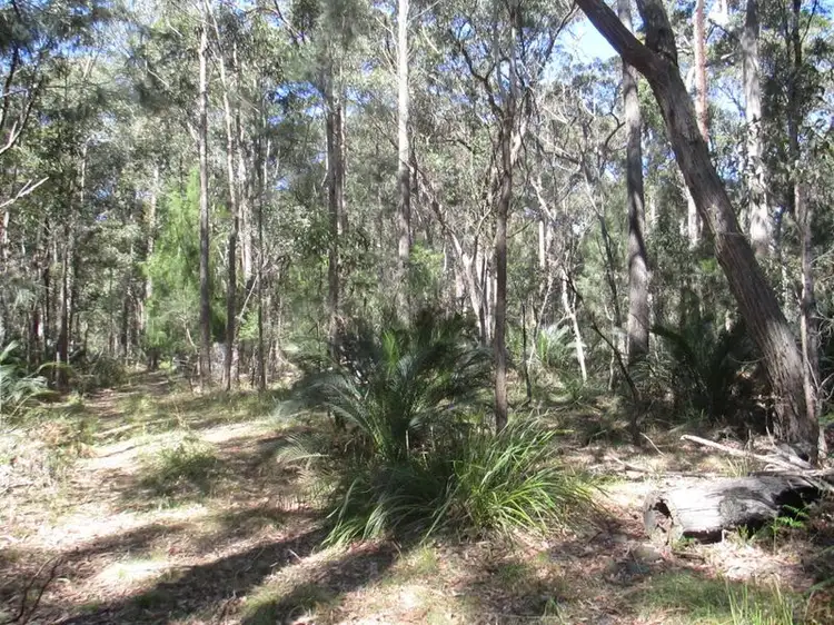 Lot 109 Horse Island Road, Bodalla NSW 2545