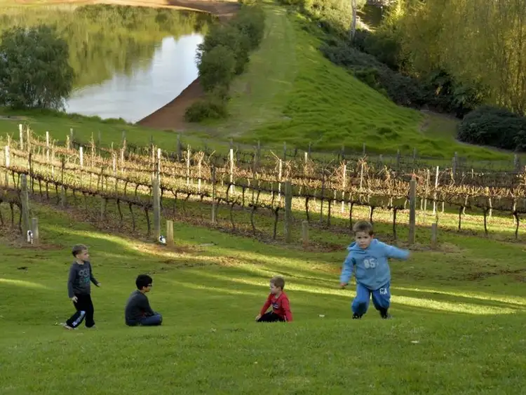 Seventh view of Homely rural property listing, 64 Kemp Road, Pemberton WA 6260