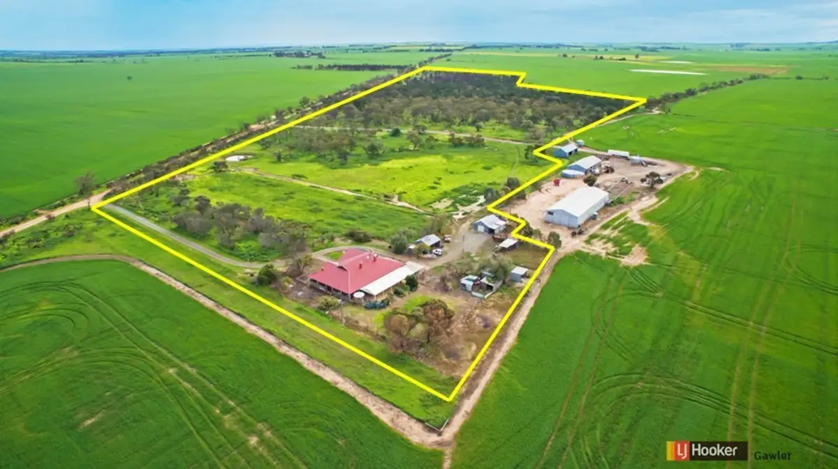 Main view of Homely house listing, 334 Boundary Road (Stockyard Creek), Hamley Bridge SA 5401