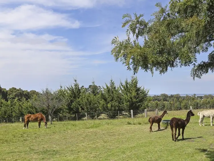 Third view of Homely rural property listing, 575A Great Alpine Road, Sarsfield VIC 3875