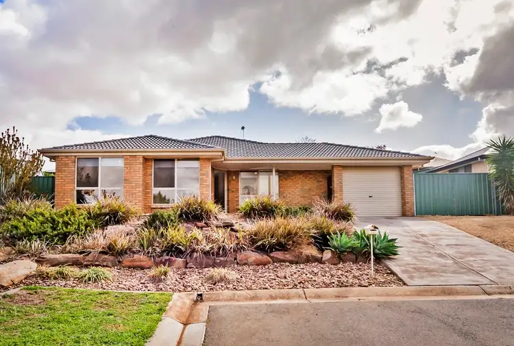 Main view of Homely house listing, 20 Shrike Place, Hewett SA 5118