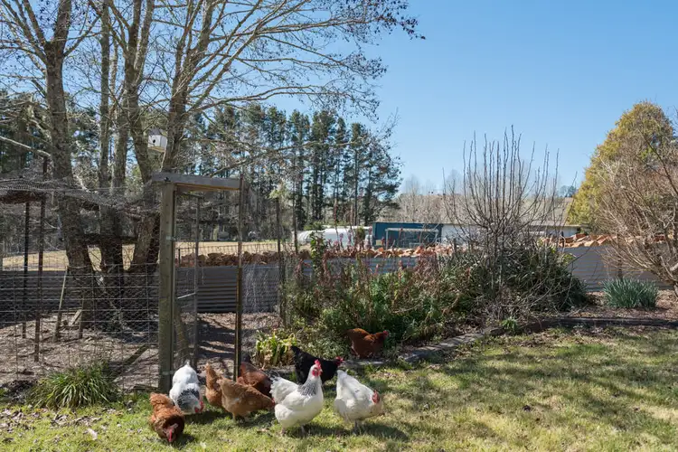 Sixth view of Homely house listing, 1387 Coramba Road, Megan NSW 2453