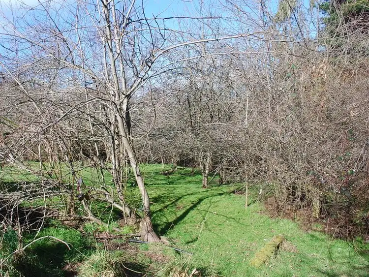 Second view of Homely rural property listing, 16717 Bass Highway, Flowerdale TAS 7325