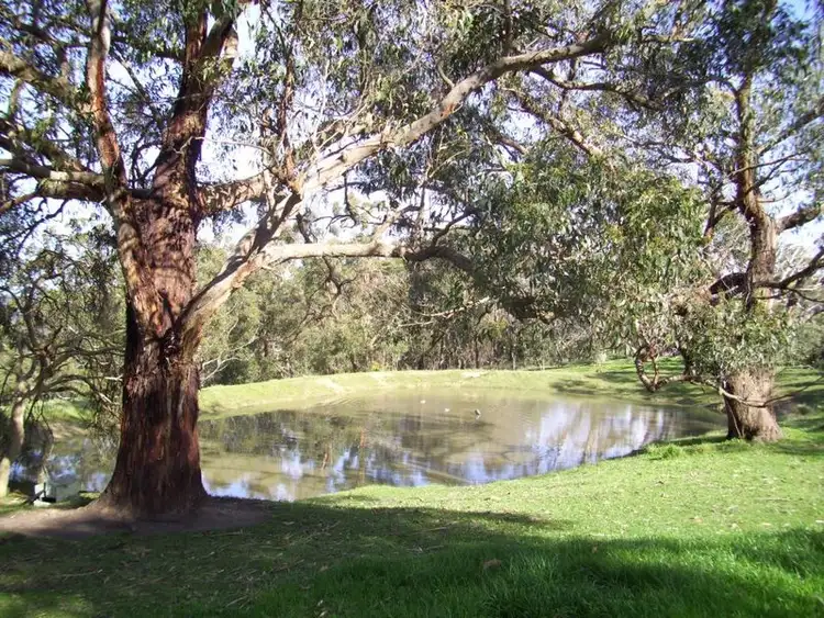 Fifth view of Homely house listing, 408 Frith Road, Cherry Gardens SA 5157