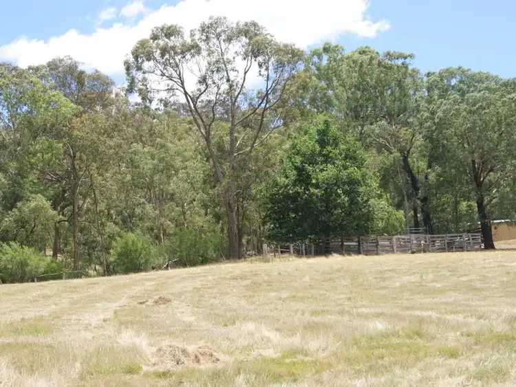 Fifth view of Homely rural property listing, 192A Cartner Road, Dargo VIC 3862