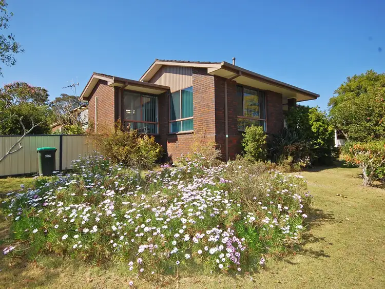 Second view of Homely house listing, 11 Bluegum Avenue, Wingham NSW 2429