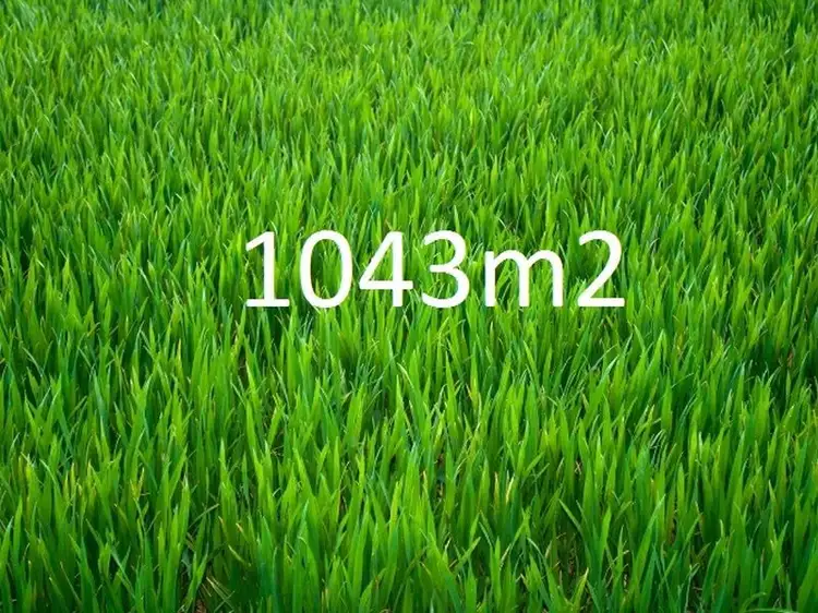 Address available on request