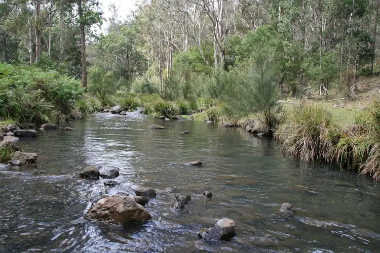 Second view of Homely rural property listing, Lot 60 Bakers Road, Clintonvale QLD 4370