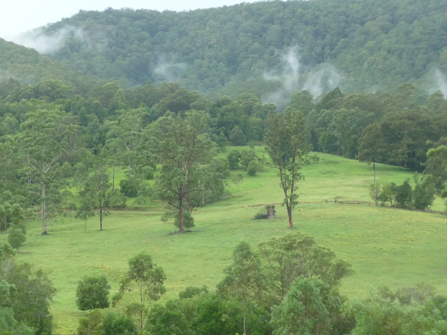 Main view of Homely rural property listing, Address available on request
