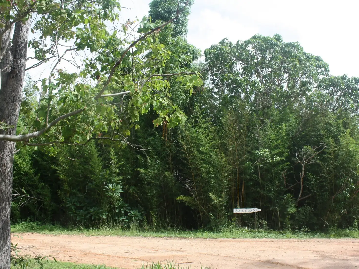 Main view of Homely house listing, Lot 23 Roos Road, Innot Hot Springs QLD 4872