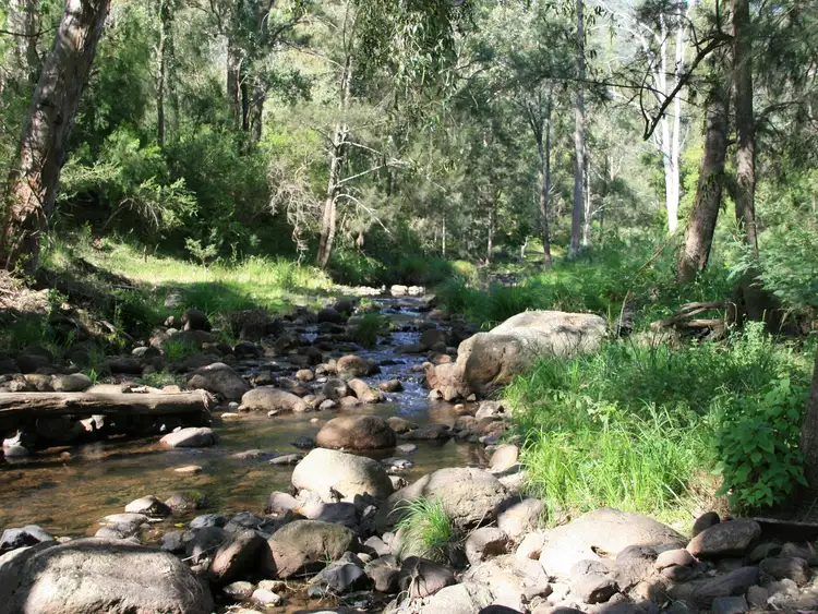 Sixth view of Homely rural property listing, Lot 53 Bakers Road,, Clintonvale QLD 4370