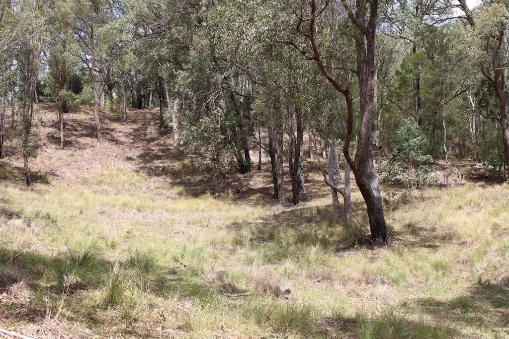 Main view of Homely land listing, Lots 20 & Gillespie Street, Cobargo NSW 2550