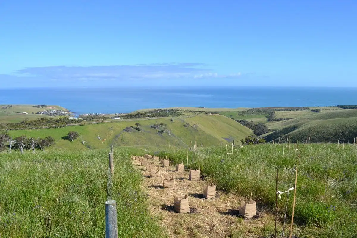 Main view of Homely land listing, 286D Sampson Road, Myponga Beach SA 5202