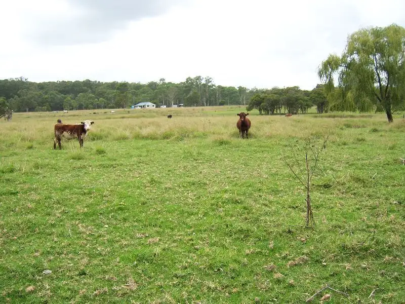 Main view of Homely land listing, 876 Swan Bay Road, Swan Bay NSW 2324